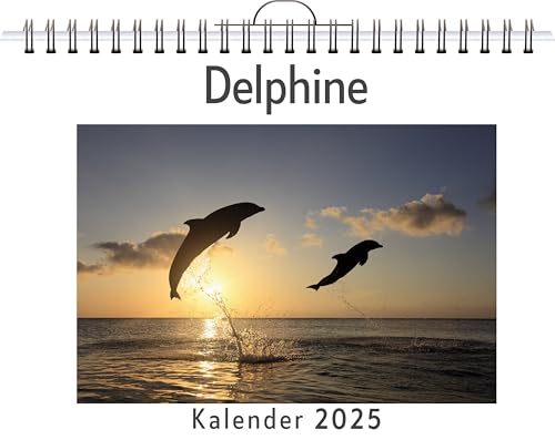 Delphine - (Wandkalender 2025, Kalender DIN A4 quer, Monatskalender im Querformat mit Kalendarium, das perfekte Geschenk) von FlipFlop