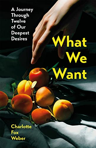What We Want: A Journey Through Twelve of Our Deepest Desires von Wildfire
