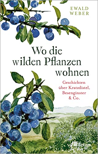 Wo die wilden Pflanzen wohnen: Geschichten über Kratzdistel, Besenginster & Co. Verborgenen Schätze einheimischer Wildpflanzen, ihre Überlebensstrategien und Bedeutung für die Natur von Oekom Verlag GmbH