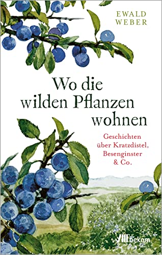 Wo die wilden Pflanzen wohnen: Geschichten über Kratzdistel, Besenginster & Co. von Oekom Verlag GmbH
