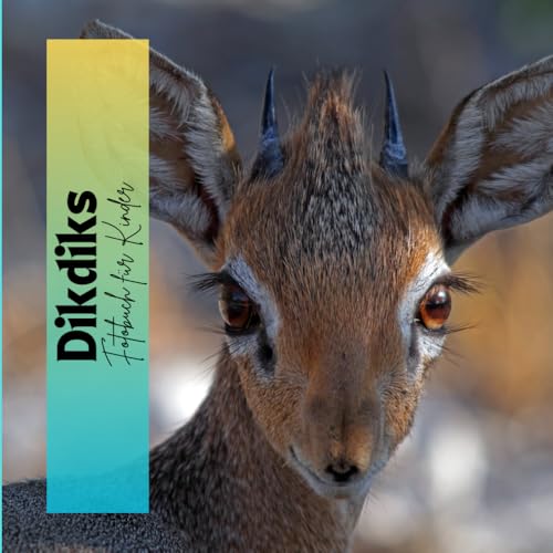 Dikdiks: Fotobuch für Kinder von Independently published