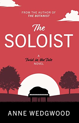 The Soloist (Twist in the Tale) von Book Guild Publishing