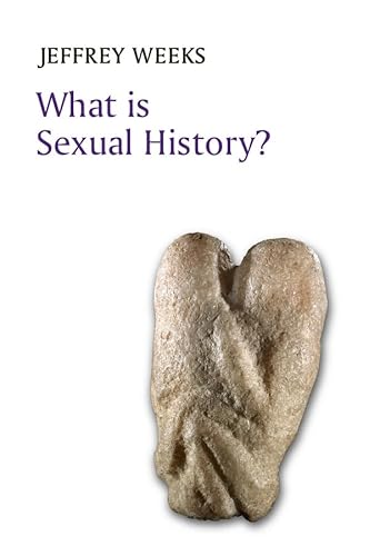 What Is Sexual History? (What Is History?)