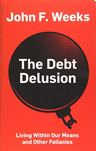 The Debt Delusion: Living Within Our Means and Other Fallacies von Polity