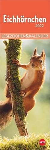 Eichhörnchen Lesezeichen & Kalender 2022 - Tierkalender mit Monatskalendarium - perforierte Kalenderblätter zum Heraustrennen - zum Aufstellen oder Aufhängen - 6 x 18 cm von Heye