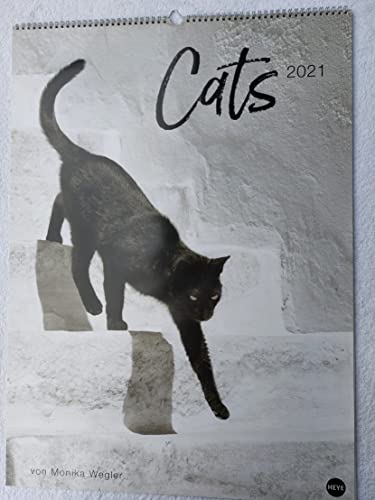 Cats Edition von Monika Wegler - großer Foto-Wandkalender 2021 mit stimmungsvollen Katzen-Schwarz-Weiß-Fotografien - Format 49 x 68 cm von Heye