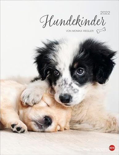 Hundekinder Posterkalender 2022 von Monika Wegler - niedlicher Tier-Wandkalender mit vielen Fotos und lustigen Mini-Geschichten - mit Monatskalendarium - 34 x 44 cm