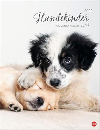 Hundekinder Posterkalender 2022 Hundekinder Posterkalender 2022 von Heye