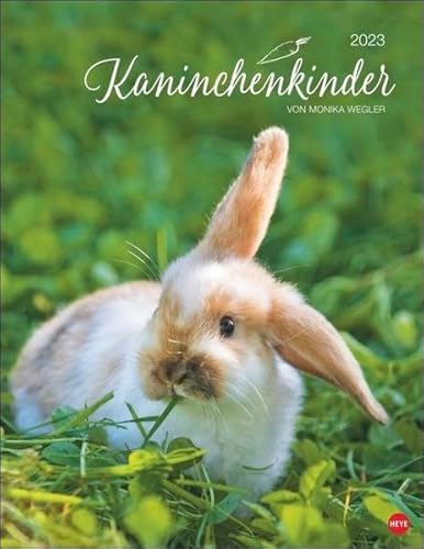 Kaninchenkinder Posterkalender 2023 von Monika Wegler - niedlicher Tier-Wandkalender mit vielen Fotos und lustigen Mini-Geschichten - mit Monatskalendarium - 34 x 44 cm