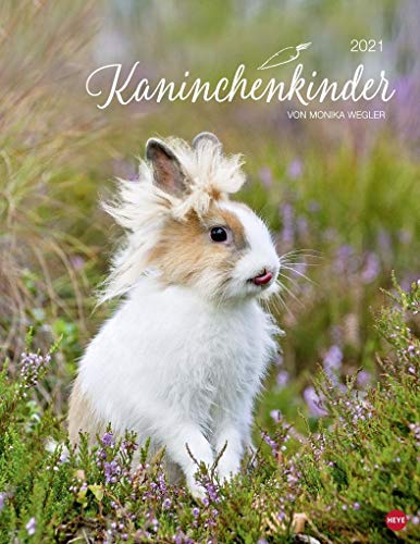 Kaninchenkinder Posterkalender von Monika Wegler - niedlicher Wandkalender 2021 mit vielen Fotos und lustigen Mini-Geschichten - mit Monatskalendarium - Format 34 x 44 cm von Heye