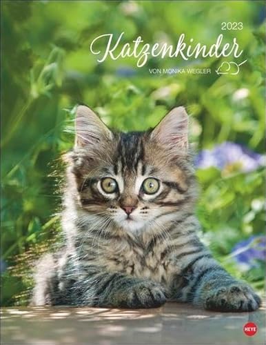 Katzenkinder Posterkalender 2023 von Monika Wegler. Unwiderstehliche Katzenbabys im Porträt. Ein großer Wandkalender mit vielen Fotos und Geschichten. Dekorativer Katzen-Kalender