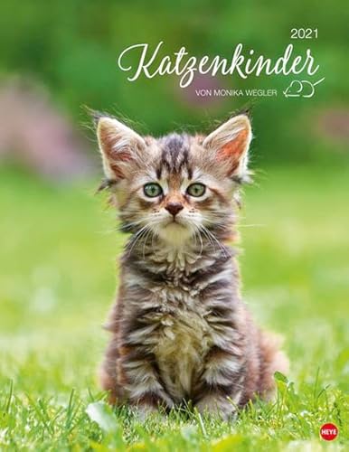 Katzenkinder Posterkalender von Monika Wegler - niedlicher Wandkalender 2021 mit vielen Fotos und lustigen Mini-Geschichten - mit Monatskalendarium - Format 34 x 44 cm von Heye