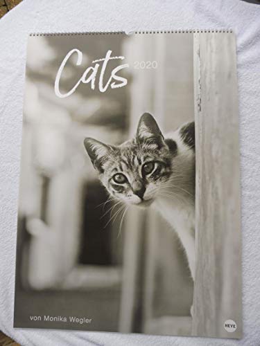 Wegler Cats Edition. Wandkalender 2020. Monatskalendarium. Spiralbindung. Format 49 x 68 cm