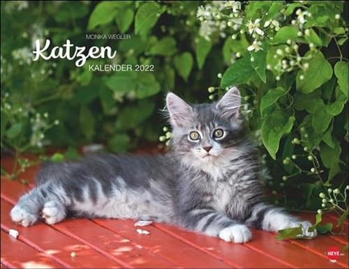 Wegler Katzenkalender von Heye Kalender