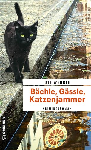 Bächle, Gässle, Katzenjammer: Kriminalroman (Journalistin Katharina Müller) von Gmeiner-Verlag,