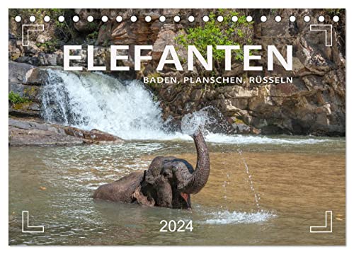 Elefanten - Baden, Planschen, Rüsseln (Tischkalender 2024 DIN A5 quer), CALVENDO Monatskalender