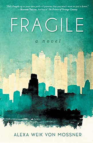 Fragile: A Novel