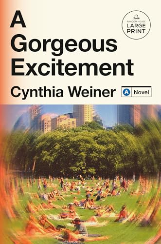 A Gorgeous Excitement: A Novel A Gorgeous Excitement: A Novel von Diversified Publishing
