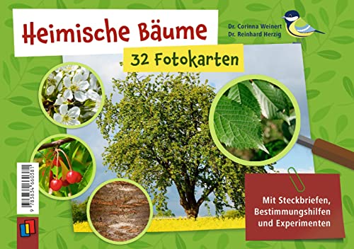 Heimische Bäume – 32 Fotokarten: Mit Steckbriefen, Bestimmungshilfen und Experimenten von Verlag An Der Ruhr
