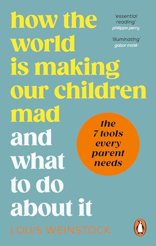 How the World is Making Our Children Mad and What to Do About It von Vermilion