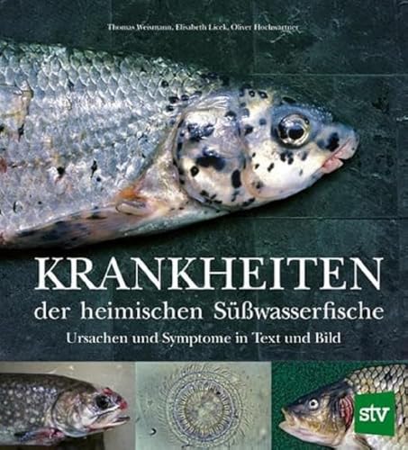 Krankheiten der heimischen Süßwasserfische: Ursachen und Symptome in Text und Bild von STOCKER, L