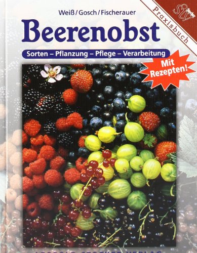 Beerenobst: Sorten, Pflanzung, Pflege, Verarbeitung mit Rezepten