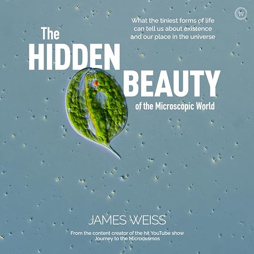 The Hidden Beauty of the Microscopic World: What the tiniest forms of life can tells us about existence and our place in the universe von Watkins Publishing