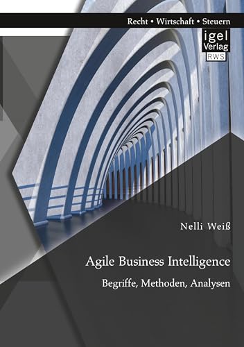 Agile Business Intelligence. Begriffe, Methoden, Analysen