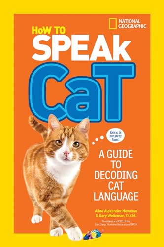 How to Speak Cat: A Guide to Decoding Cat Language