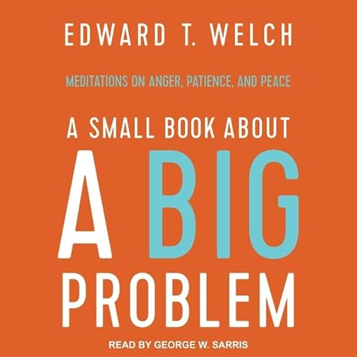 A Small Book about a Big Problem: Meditations on Anger, Patience, and Peace