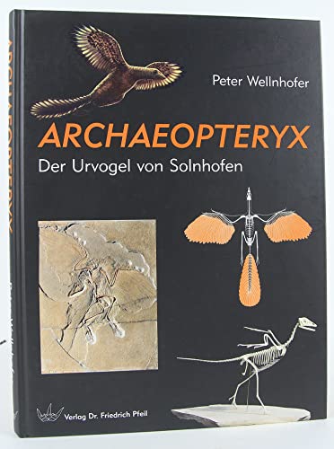 Archaeopteryx: Der Urvogel von Solnhofen von Pfeil