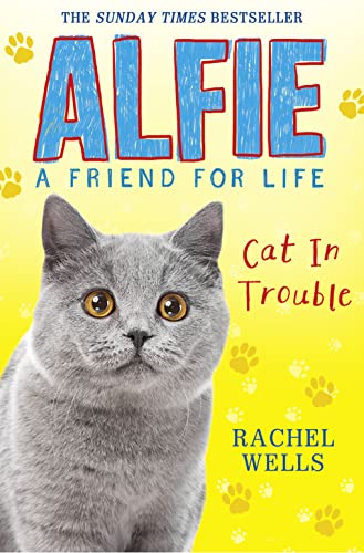 Alfie Cat in Trouble (Alfie a Friend for Life)