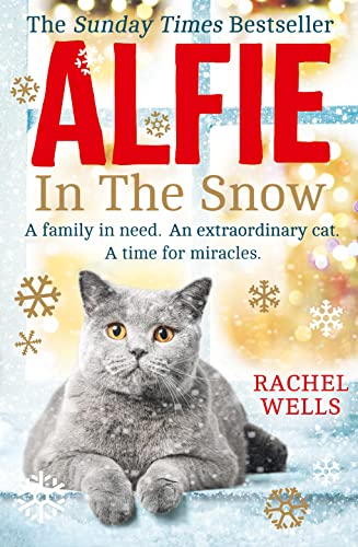 Alfie in the Snow (Alfie series)