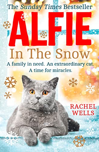 ALFIE IN THE SNOW (Alfie series)