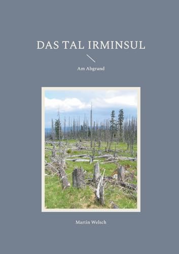 Das Tal Irminsul: Am Abgrund von BoD – Books on Demand