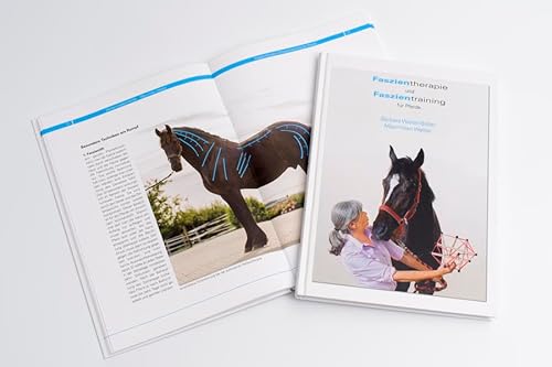 Faszientherapie und Faszientraining für Pferde