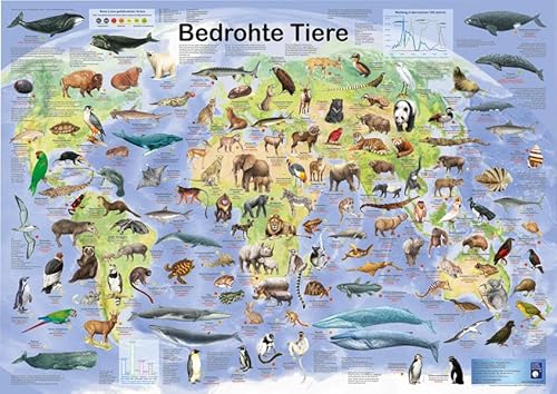 Bedrohte Tiere (Planet-Poster-Box)