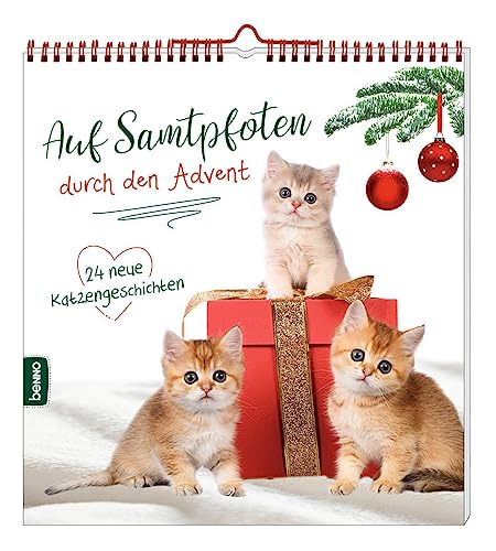 Auf Samtpfoten durch den Advent: 24 neue Katzengeschichten