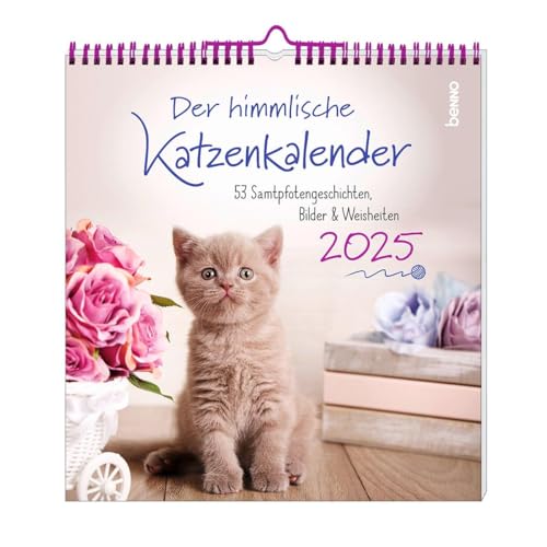 Der himmlische Katzenkalender 2025: 53 Samtpfotengeschichten, Bilder & Weisheiten von St. Benno