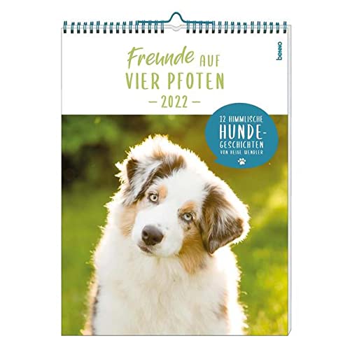 Freunde auf vier Pfoten 2023: 12 himmlische Hunde-Geschichten Freunde auf vier Pfoten 2023: 12 himmlische Hunde-Geschichten