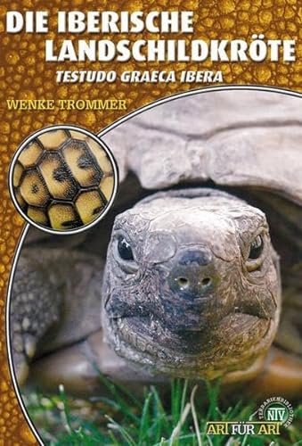 Die Iberische Landschildkröte: Testudo graeca ibera (Buchreihe Art für Art Terraristik)