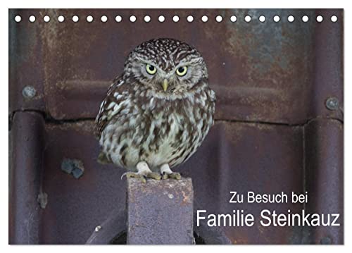 Zu Besuch bei Familie Steinkauz (Tischkalender 2024 DIN A5 quer), CALVENDO Monatskalender