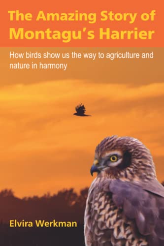 The Amazing Story of Montagu's Harrier: How birds show us the way to agriculture and nature in harmony