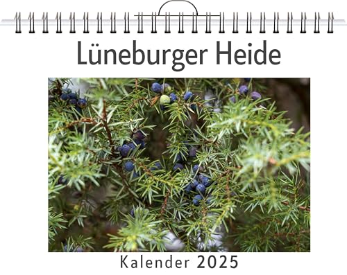 Lüneburger Heide - (Wandkalender 2025, Kalender DIN A4 quer, Monatskalender im Querformat mit Kalendarium, das perfekte Geschenk) von FlipFlop