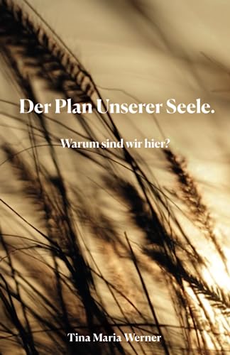 Der Plan Unserer Seele: Warum sind wir hier? von Independently published