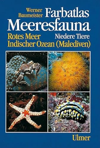 Farbatlas Meeresfauna, 2 Bde., Bd.1, Niedere Tiere: Niedere Tiere. Rotes Meer, Indischer Ozean (Malediven) (Farbatlas Meeresfauna. Rotes Meer, Indischer Ozean (Malediven)) von Ulmer Eugen Verlag