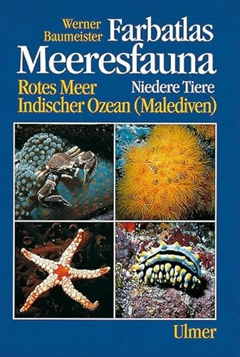 Farbatlas Meeresfauna, 2 Bde., Bd.1, Niedere Tiere: Niedere Tiere. Rotes Meer, Indischer Ozean (Malediven) (Farbatlas Meeresfauna. Rotes Meer, Indischer Ozean (Malediven))