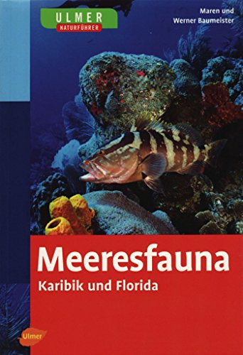 Ulmer Naturführer Meeresfauna Karibik und Florida: 469 Arten in Wort und Bild