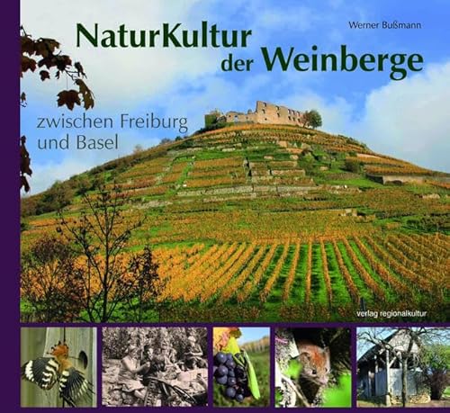 NaturKultur der Weinberge zwischen Freiburg und Basel von Regionalkultur Verlag