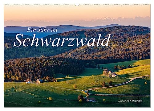 Ein Jahr im Schwarzwald (Wandkalender 2025 DIN A2 quer), CALVENDO Monatskalender